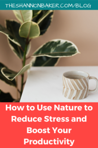 Read more about the article How to Use Nature to Reduce Stress and Boost Your Productivity