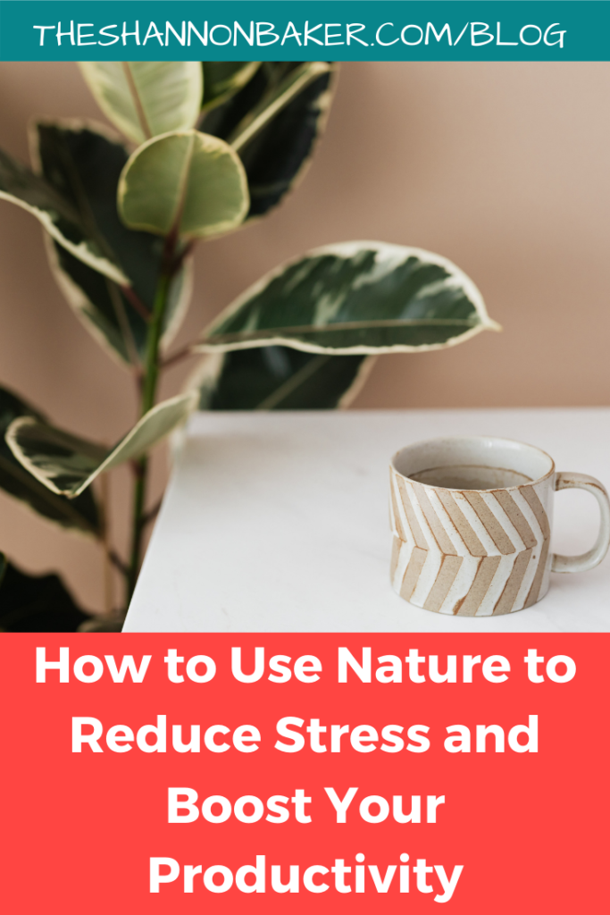 How to Use Nature to Reduce Stress and Boost Productivity