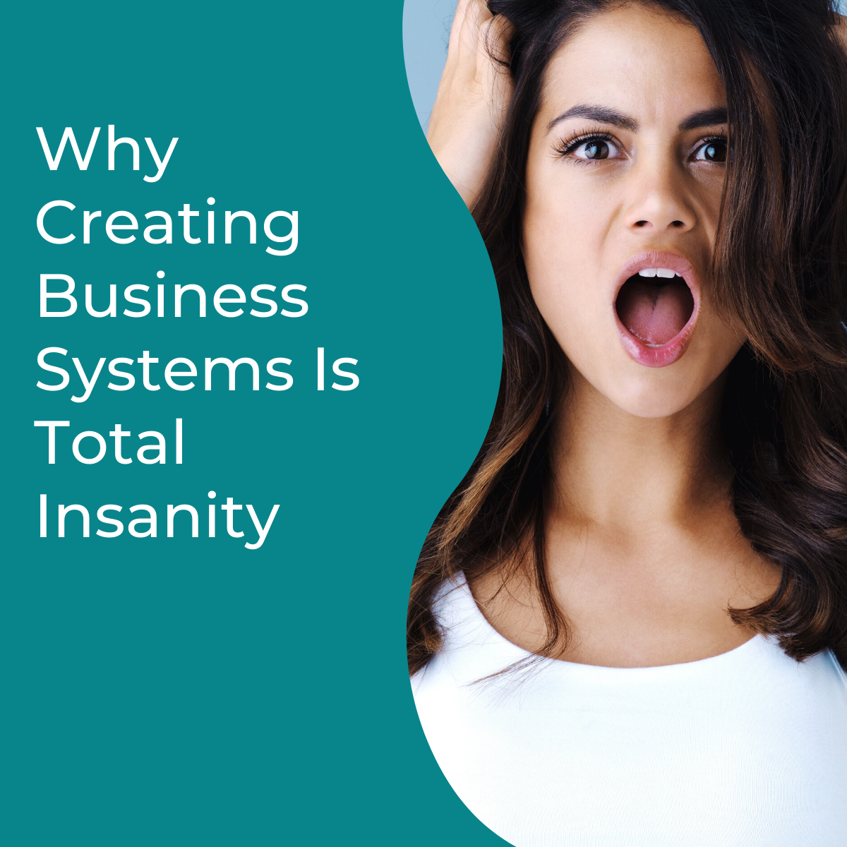 You are currently viewing Why Creating Business Systems Is Total Insanity