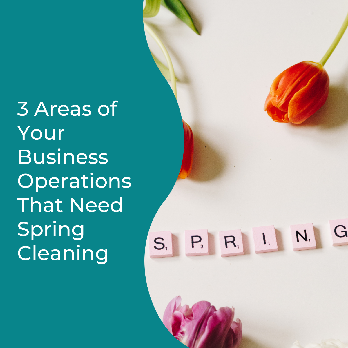 You are currently viewing 3 Areas of Your Business Operations That Need Spring Cleaning