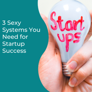 Read more about the article 3 Sexy Systems You Need for Startup Success