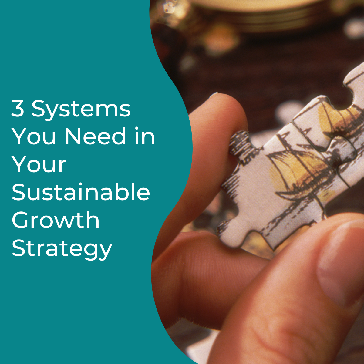 You are currently viewing 3 Systems You Need in Your Sustainable Growth Strategy